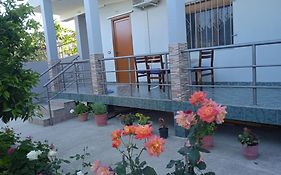 Vila N Dervishi